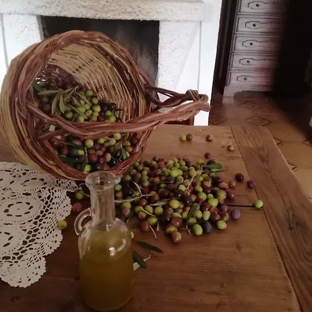 Country house Casa La Calicchia Norma